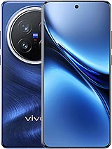 Vivo X200 Pro 256GB